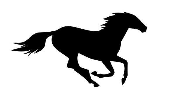 illustrations, cliparts, dessins animés et icônes de vector illustration de cheval courait. - cheval