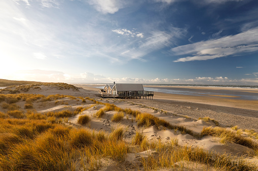 casa de madera en la playa de mar del norte, Países Bajos photo