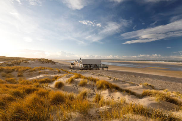 wooden house on North sea beach, Netherlands stock photo