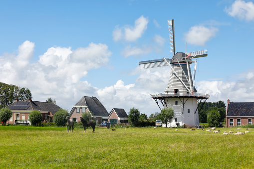charming Dutch windmill and horses on pasture, over blue sky