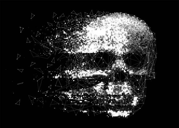 Vector human particle skull Vector skull illustration made by interlacing network of thin lines, and grungy halftone effect. Low poly line art. human skull stock illustrations
