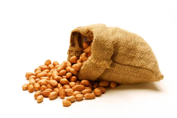 peanuts; groundnuts; peanut; groundnut; Arachis hypogaea; seed; bean; beans; legume; pea; monkey nut; pygmy nut; pig nut; oilseed; full; gourmet; hazelnut; geocarpy; healthy;