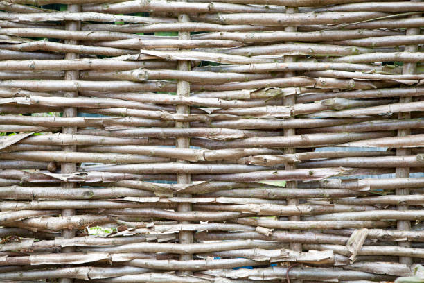 istock Hazel hurdle woven wattle garden fence 988502548
