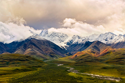 View over a green valley with colorful snowy mountains and a cloudy sky in the background in the Denali National Park and Preserve, Alaska. Alaskan Tundra forest and the Polychrome Mountains