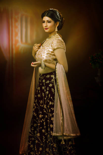 Portrait of young Indian lady in traditional wear Portrait of young Indian lady in traditional wear. This is the ethnic wear of India worn during festival or events india indigenous culture indian culture women stock pictures, royalty-free photos & images