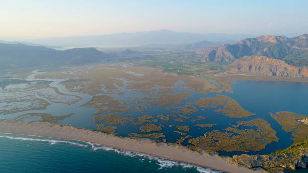 istock Aerial view of Delta and Beach 988526038