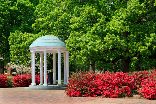 The Old Well at Chapel Hill Old Well water fountain on the campus of UNC Chapel Hill during the spring with the azaleas in bloom university of north carolina stock pictures, royalty-free photos & images