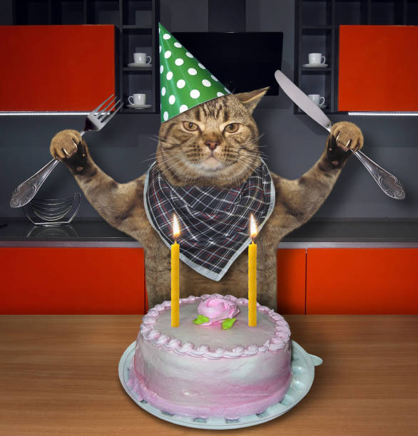 istock Cat in a birthday hat with the cake 2 988540776