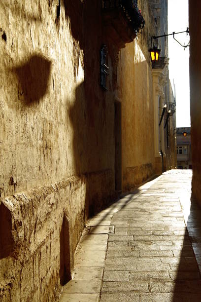 istock Street in Mdina 988541508