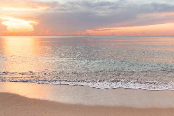 istock Peaceful Palm Beach Sunrise 988545020