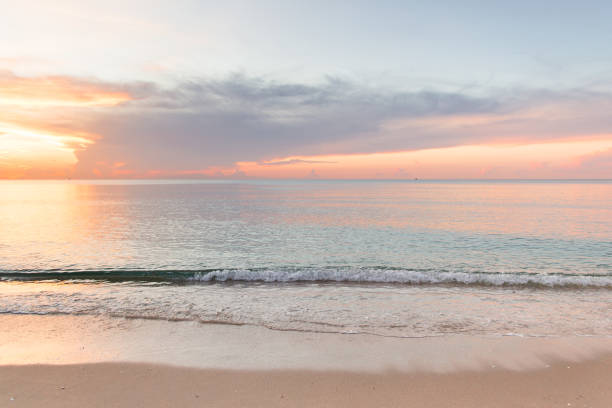 istock Peaceful Palm Beach Sunrise 988545036
