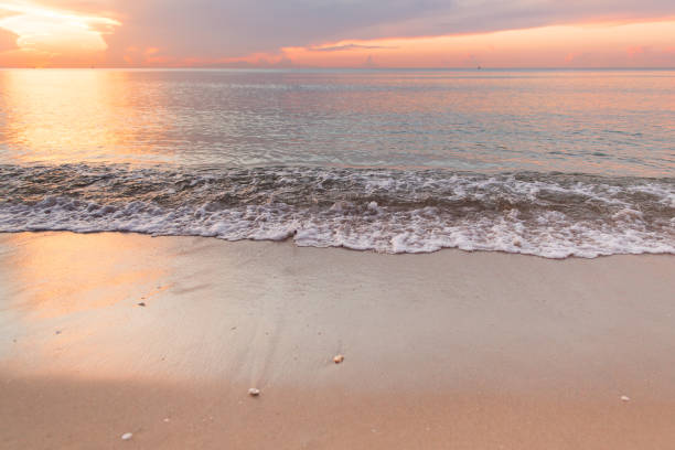 istock Peaceful Palm Beach Sunrise 988546660