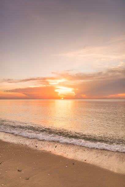 istock Golden Palm Beach Sunrise 988552342