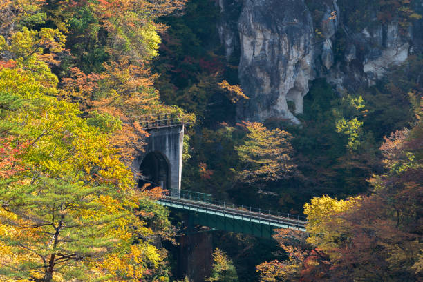 istock Naruko Gorge Miyagi Tohoku Japan 988556114