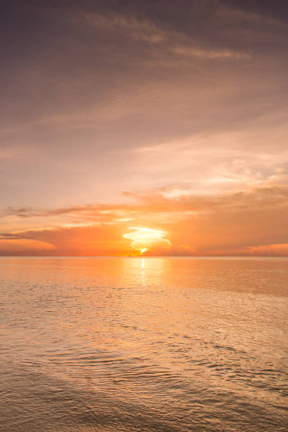 istock Golden Palm Beach Sunrise 988557148