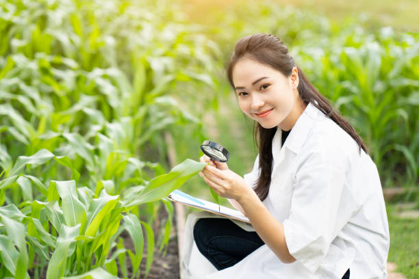 biotecnologia asian woman engineer esaminando foglia vegetale per malattia, scienza, ricerca e tecnologia concetto - bacterium virus magnifying glass green foto e immagini stock