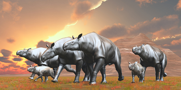 Paraceratherium was an Indricotherium herbivore that lived in Eurasia during the Eocene Period.