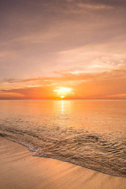 istock Golden Palm Beach Sunrise 988561040
