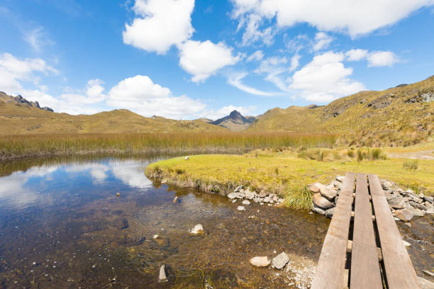 istock wooden bridge over the river in the Cajas park Cuenca 988561138