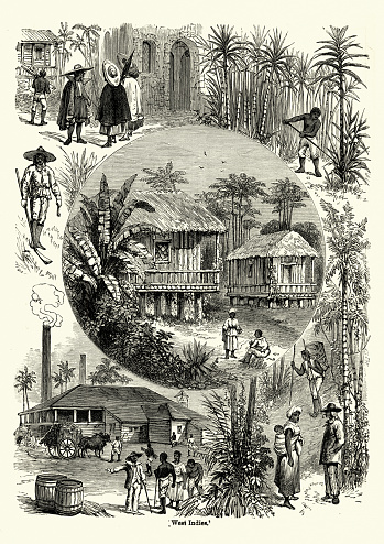 Vintage engraving of Scenes from the West Indies in the 19th Century. Sugar cane plantation and refinery