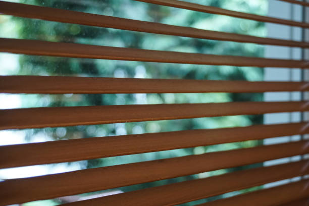 istock brown wood blind shade curtain and shadow 988585442