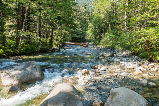 istock Scenic Denny Creek 5 988586260