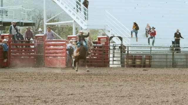 Competition Rodeo Bareback Riding
