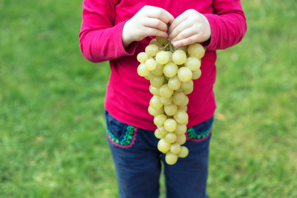 Grapes in girl's hand