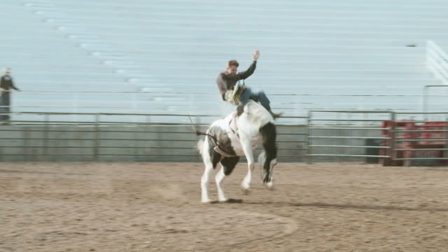Competition Rodeo Bareback Riding