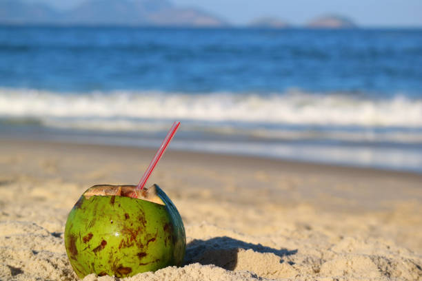 Fresh young coconut with a straw on the sandy beach, with blurred ocean in background