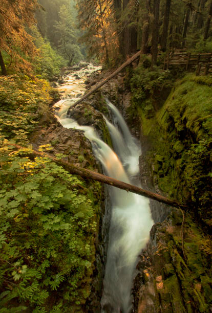 istock Sol Duc Falls at Olympic National Park 988631300