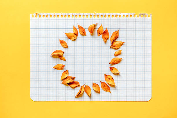 White gride sheet rounded by yellow dry leaves, in yellow background.
