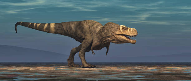 istock Tyrannosaurus Rex on white background 988644460