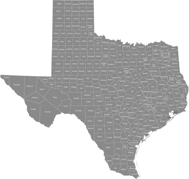 illustrazioni stock, clip art, cartoni animati e icone di tendenza di struttura vettoriale della mappa della contea del texas con nomi di contee etichettati in sfondo grigio - rusk county