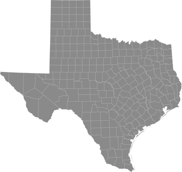 ilustrações, clipart, desenhos animados e ícones de fundo do texas condados mapa vector contorno cinza - rio grande illustrations