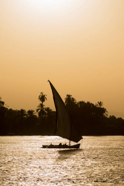 istock Traditional felluca sailing boat silhouette at sunset 988656976