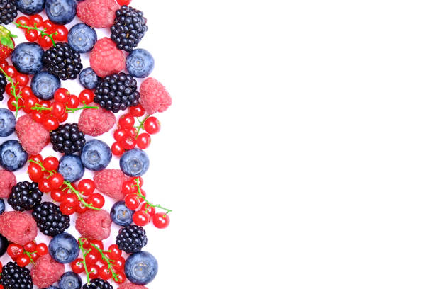 bunch of mixed berries in harvest pile on white background. colorful composition with fresh organic strawberry, blueberry, blackberry & redcurrant. clean eating concept. close up, copy space, top view - blackberry currant strawberry antioxidant imagens e fotografias de stock