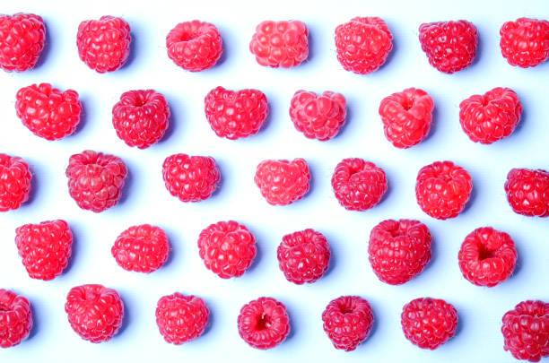 istock Bunch of fresh organic raspberry berries in seamless ornament pattern, white background. Clean eating concept. Healthy nutritious vegan snack, tasty raw diet. Close up, copy space, top view, flat lay. 988664990