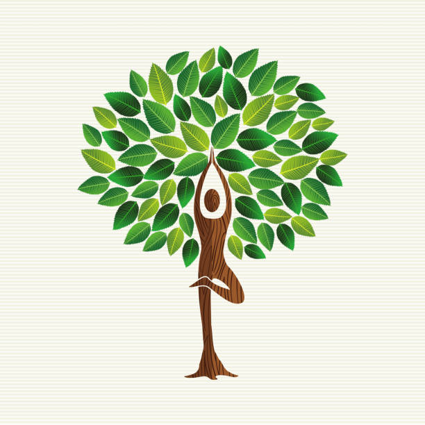 Yoga Tree Pose Concept For Nature Connection Stock Illustration - Download  Image Now - Tree, Tree Pose, Plant - iStock