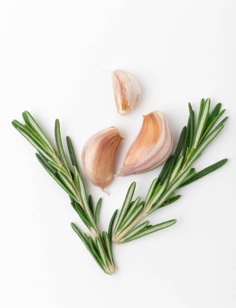 istock Fresh garlic with rosemary isolated on white background. Isolated garlic 988696878