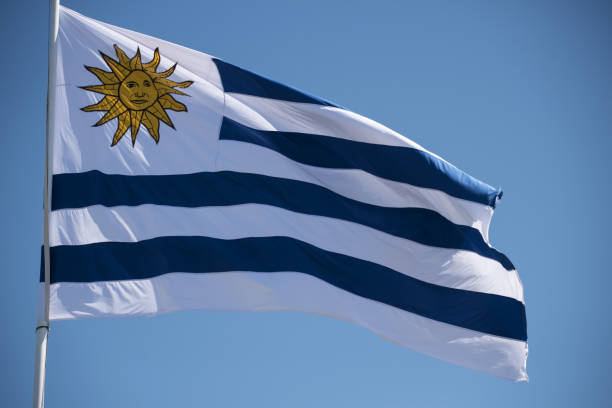 istock Uruguay country flag moving in the wind 988702382