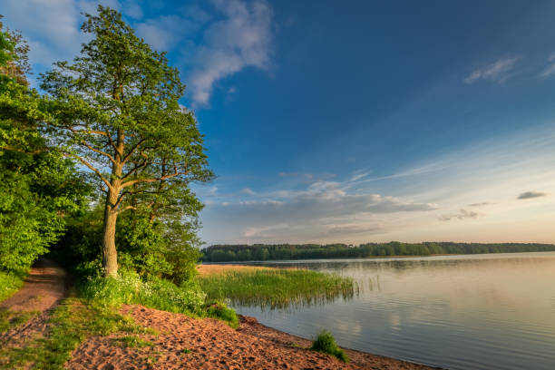 istock Wonderful dusk at the summer lake with dynamic clouds 988719450