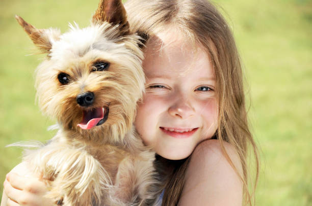 istock Little girl is playing with a dog 988720656