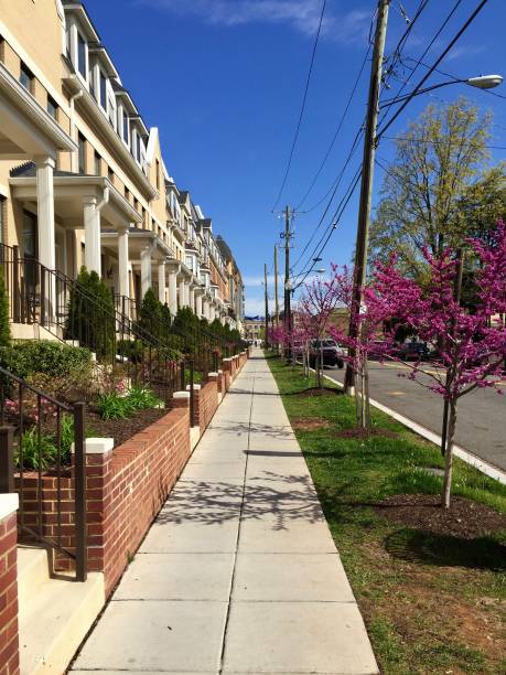 Row houses in Washington, D.C.
