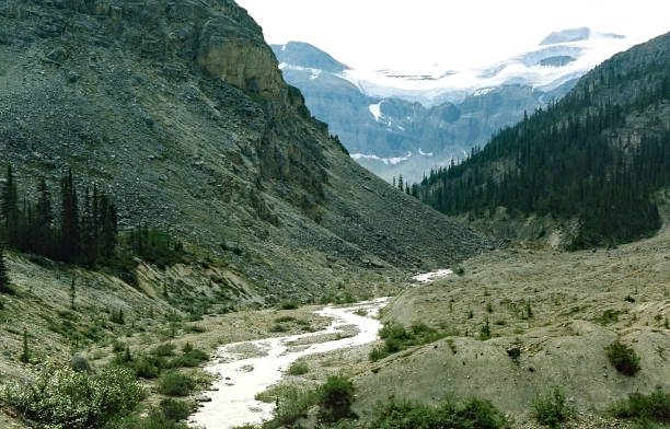 istock Bow Glacier stream flowing to Bow Lake 988756402
