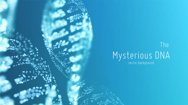 Vector abstract blue DNA double helix illustration with shallow depth of field. Mysterious source of life background. Genom futuristic image. Conceptual design of genetics information. Vector abstract blue DNA double helix illustration with shallow depth of field. Mysterious source of life background. Genom futuristic image. Conceptual design of genetics information h2o model stock illustrations