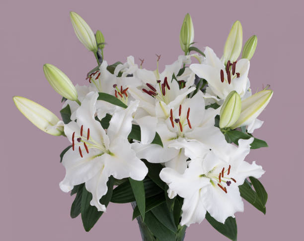 istock Beautiful Lillies in Bunch 988778568