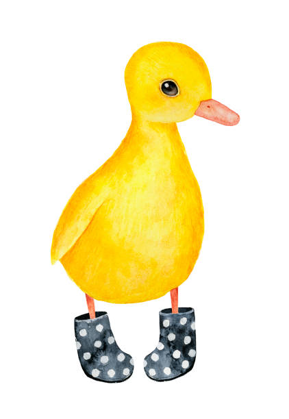 ilustrações de stock, clip art, desenhos animados e ícones de little duckling character wearing black dotted welly boots. - baby animals