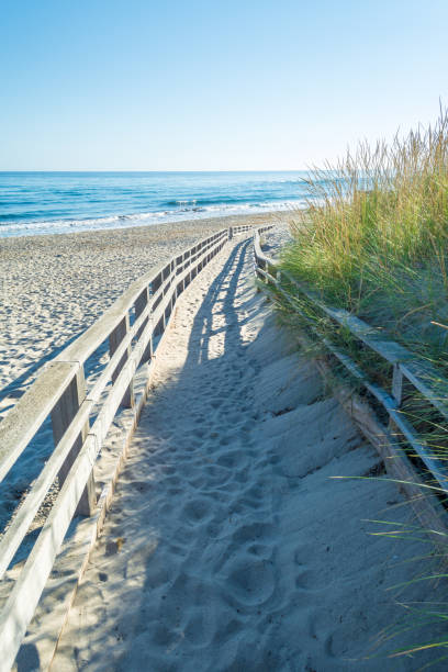 istock Wooden catwalk on the beach 988835114