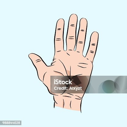 istock Hand stretched out five fingers. Brush human male hand in a sketch style, color vector illustration 988844028